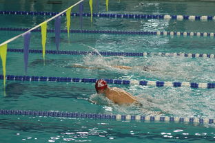 开云体育在线官网-世界游泳锦标赛连续夺金，实力证明中国，世界游泳锦标赛举办地